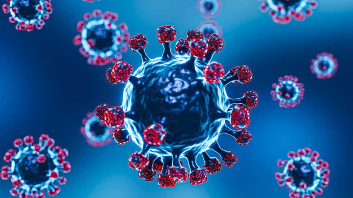 Investigadores de la UAM descubren un "potente antiviral natural" contra la covid-19
